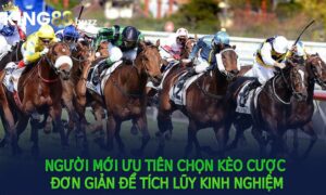 Người mới ưu tiên chọn kèo cược đơn giản để tích lũy kinh nghiệm